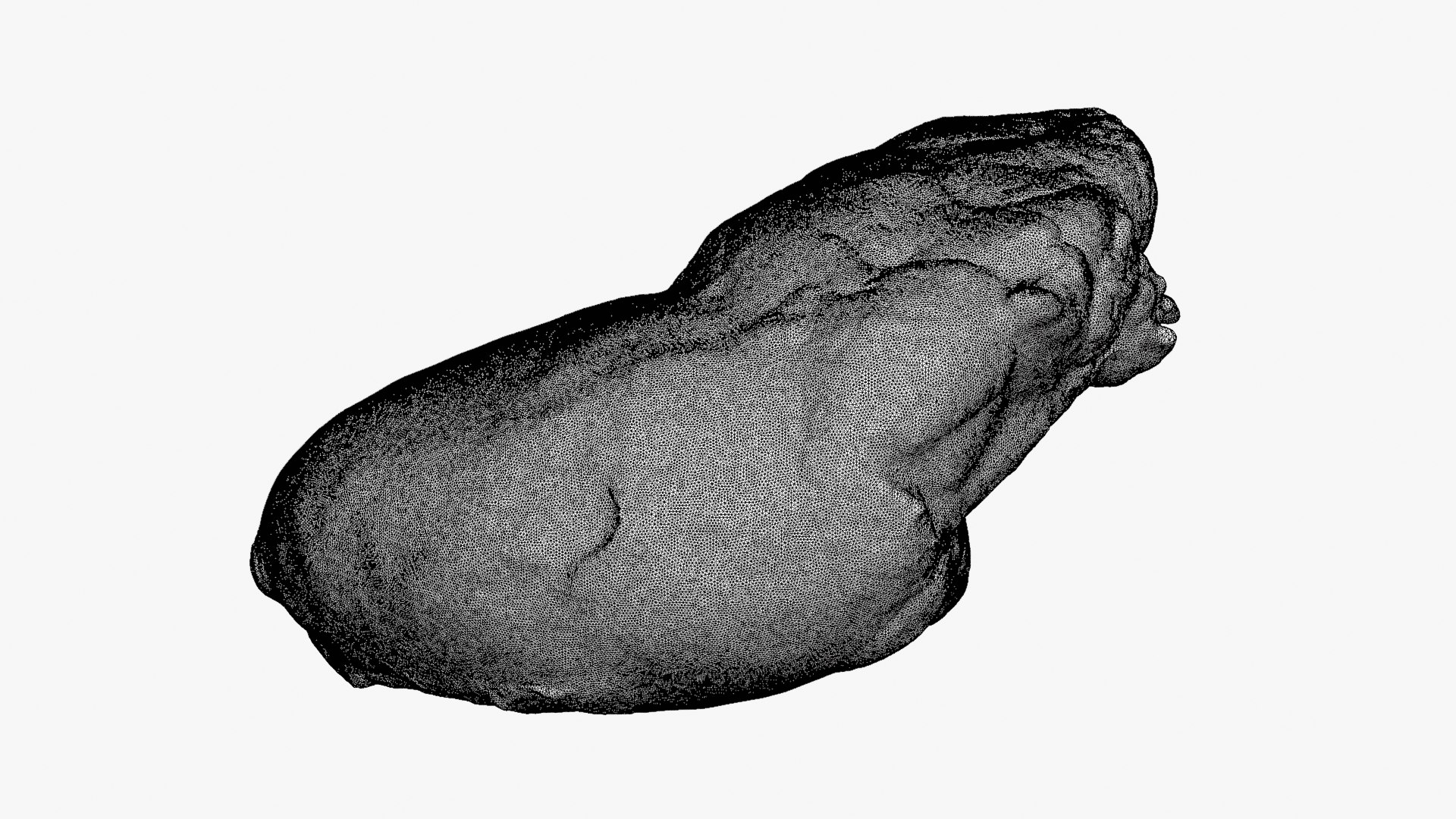 Chicken Heart 02 - Raw Scan 3D model https://p.turbosquid.com/ts-thumb/v9/Eo1Nwk/P5/chickenheart02_d000/png/1765131509/1920x1080/fit_q87/3576ef5d8e9f7f2573ad7c3af8434e1454dec5fc/chickenheart02_d000.jpg