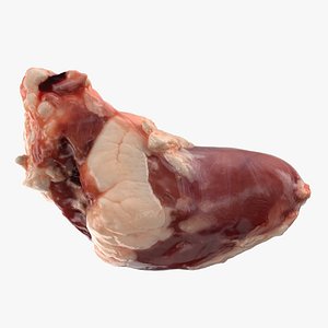 Chicken Heart 02 - Raw Scan