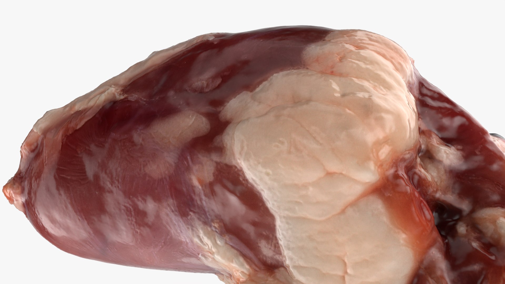 Chicken Heart 02 - Raw Scan 3D model https://p.turbosquid.com/ts-thumb/v9/Eo1Nwk/Qz/chickenheart02_0009/png/1765131507/1920x1080/fit_q87/d391e390490704c3d4dd5386eedecd3c5fba6bd2/chickenheart02_0009.jpg