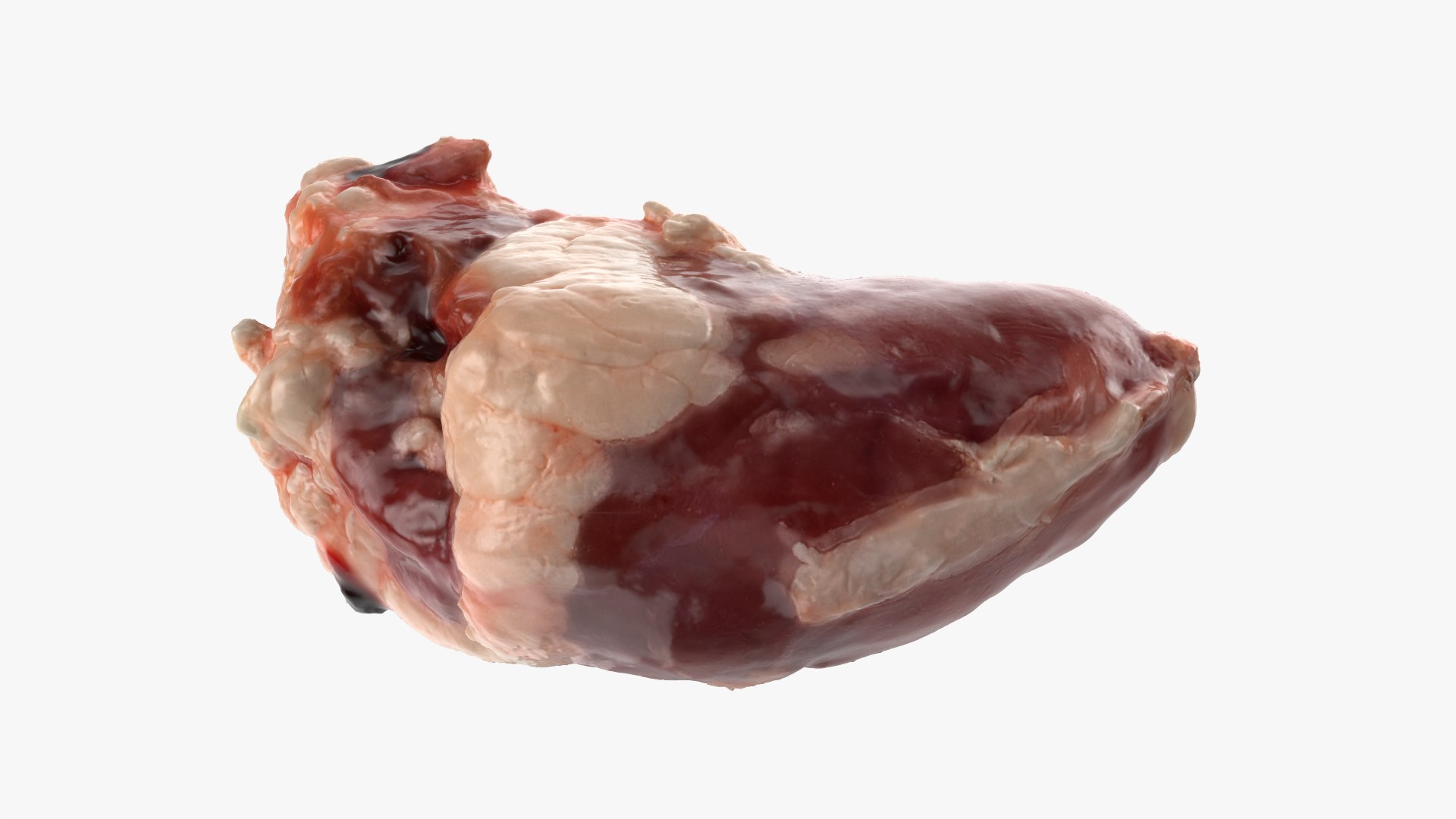 Chicken Heart 02 - Raw Scan 3D model https://p.turbosquid.com/ts-thumb/v9/Eo1Nwk/W3/chickenheart02_0010/png/1765131503/1920x1080/fit_q87/58ed80834d172954c68e6b1e387a6c4e20f6233f/chickenheart02_0010.jpg