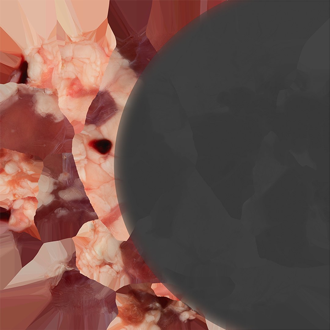 Chicken Heart 02 - Raw Scan 3D model https://p.turbosquid.com/ts-thumb/v9/Eo1Nwk/WO/chickenheart02_e0005/png/1765131513/1920x1080/fit_q87/d84e02c4cd2a46105ac7f682acb47ef4f63feb96/chickenheart02_e0005.jpg