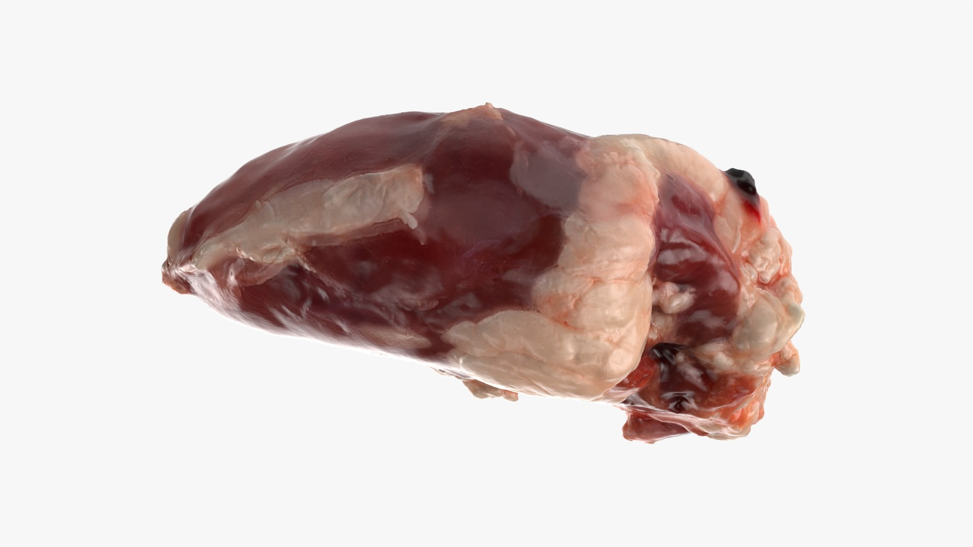 Chicken Heart 02 - Raw Scan 3D model https://p.turbosquid.com/ts-thumb/v9/Eo1Nwk/nk/chickenheart02_0004/png/1765131494/1920x1080/fit_q87/6782d105578eab0d0c4b53e9497fe796fdb7e4b2/chickenheart02_0004.jpg
