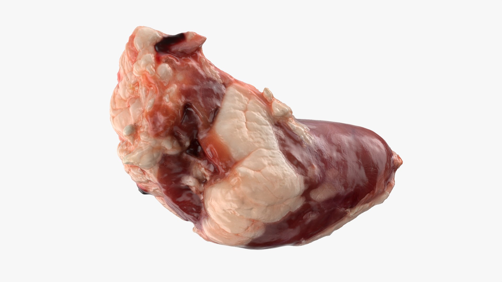 Chicken Heart 02 - Raw Scan 3D model https://p.turbosquid.com/ts-thumb/v9/Eo1Nwk/rs/chickenheart02_0003/png/1765131488/1920x1080/fit_q87/4c8907719741e42dcf7ff68fc2dbabc1e0bb3244/chickenheart02_0003.jpg