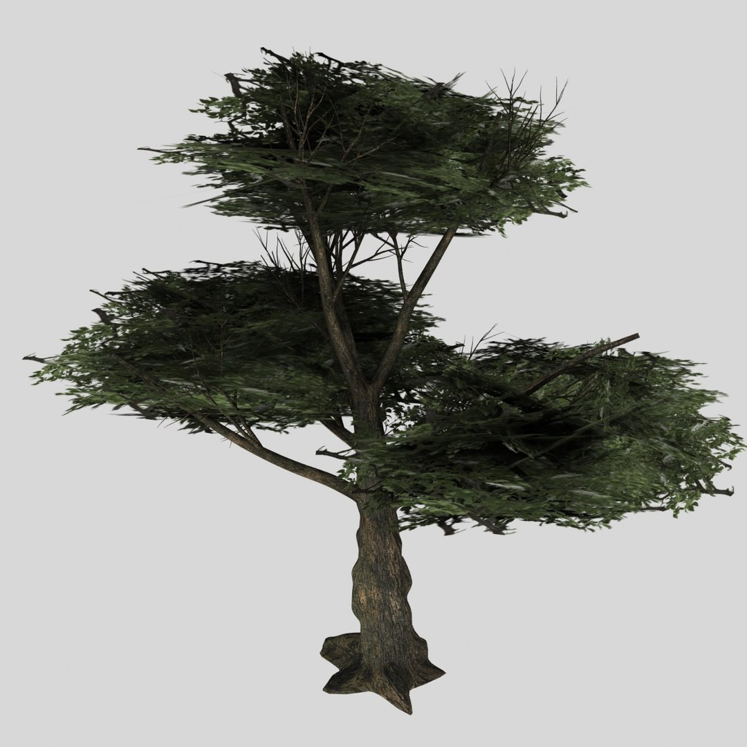 Tree Stl 3D Model - TurboSquid 1342988