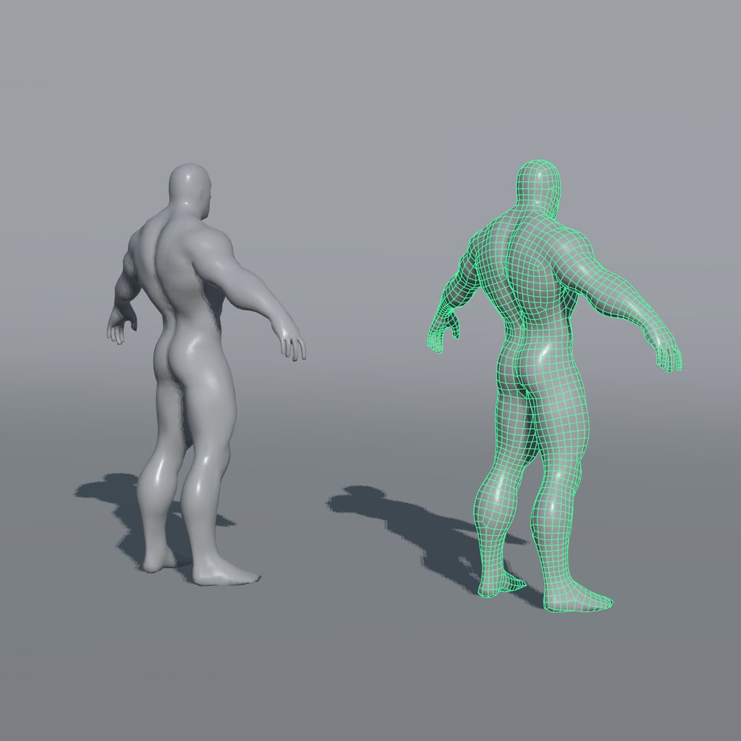 3d Model Of Base Mesh Male Character