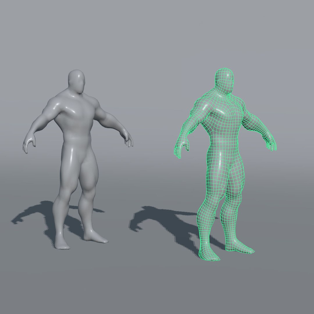 3d Model Of Base Mesh Male Character