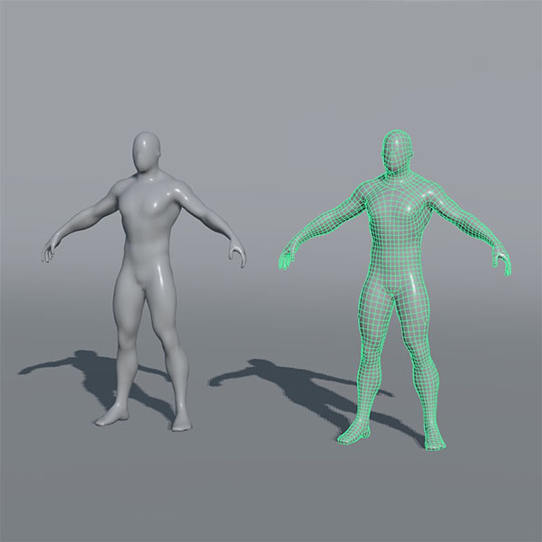 3d Model Of Base Mesh Male Character
