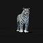 Tiger Amur White Animated