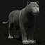 Tiger Amur White Animated
