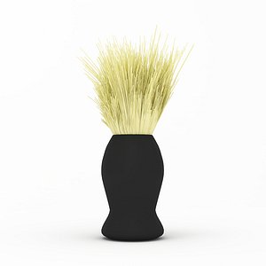 Men's Shaving Brush