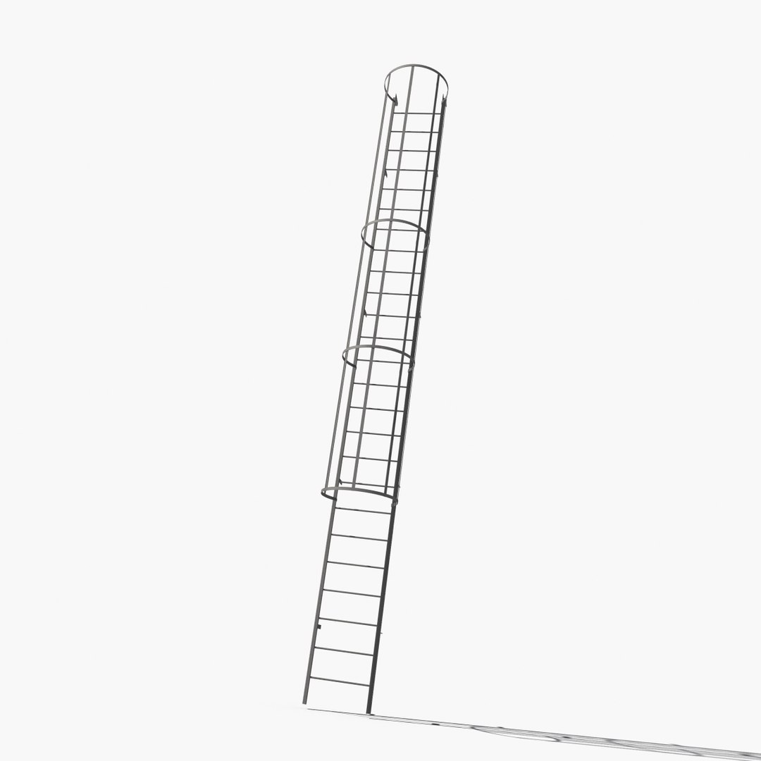 Access Ladder 3d Max