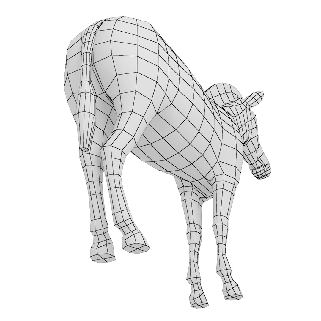 Zebra Animal Base Mesh 3D Model - TurboSquid 2213413