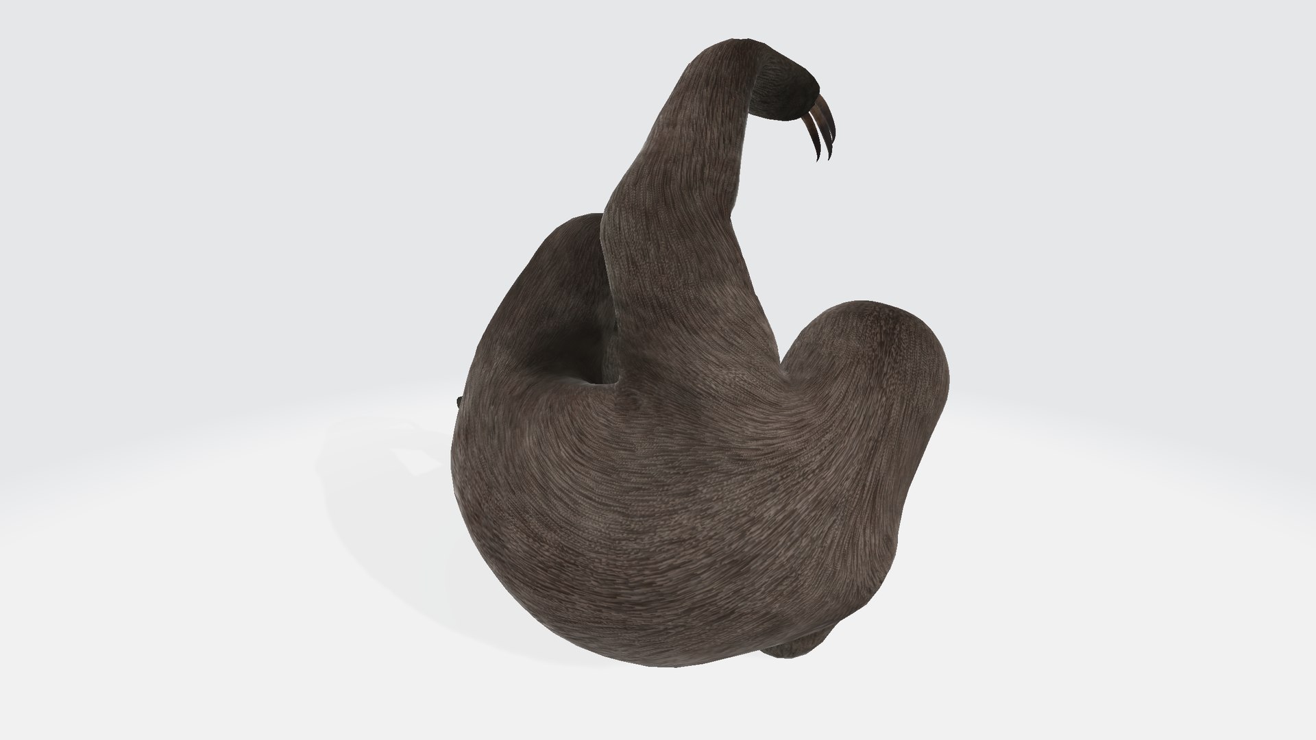 Sloth 3D Model - TurboSquid 2303143