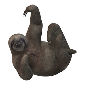 Sloth 3D model