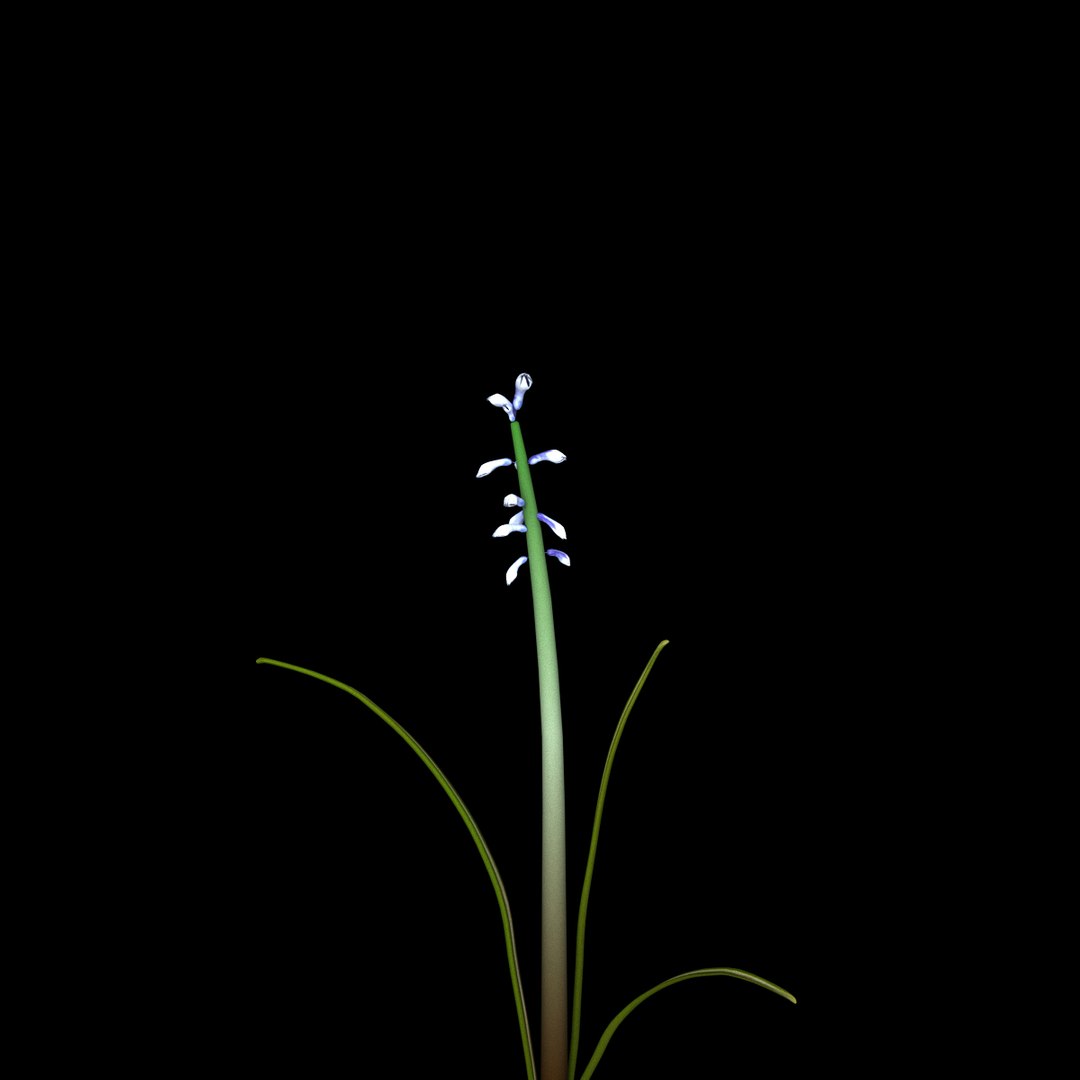 3D flowers open animation - TurboSquid 1579437