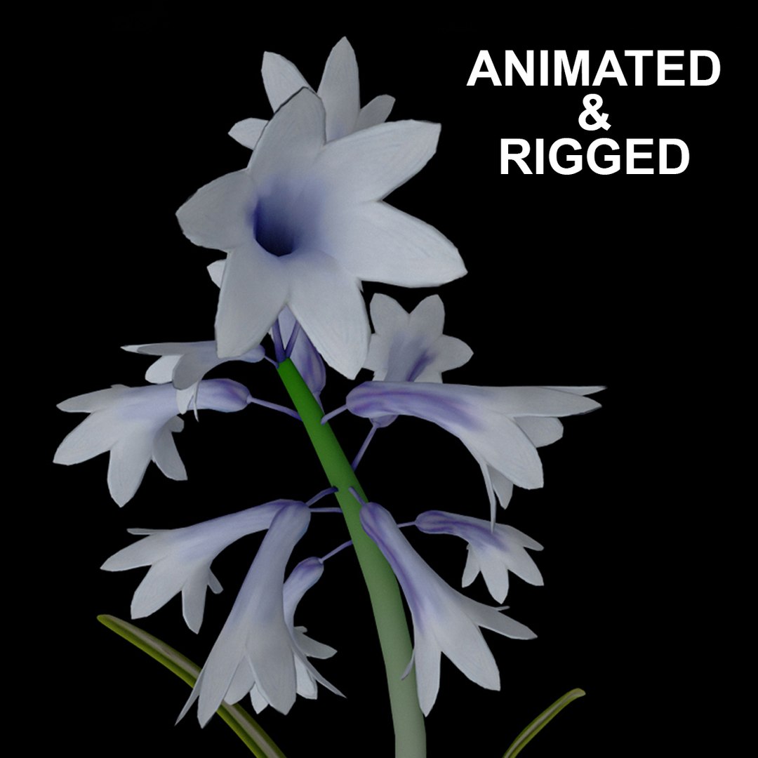 3D flowers open animation - TurboSquid 1579437