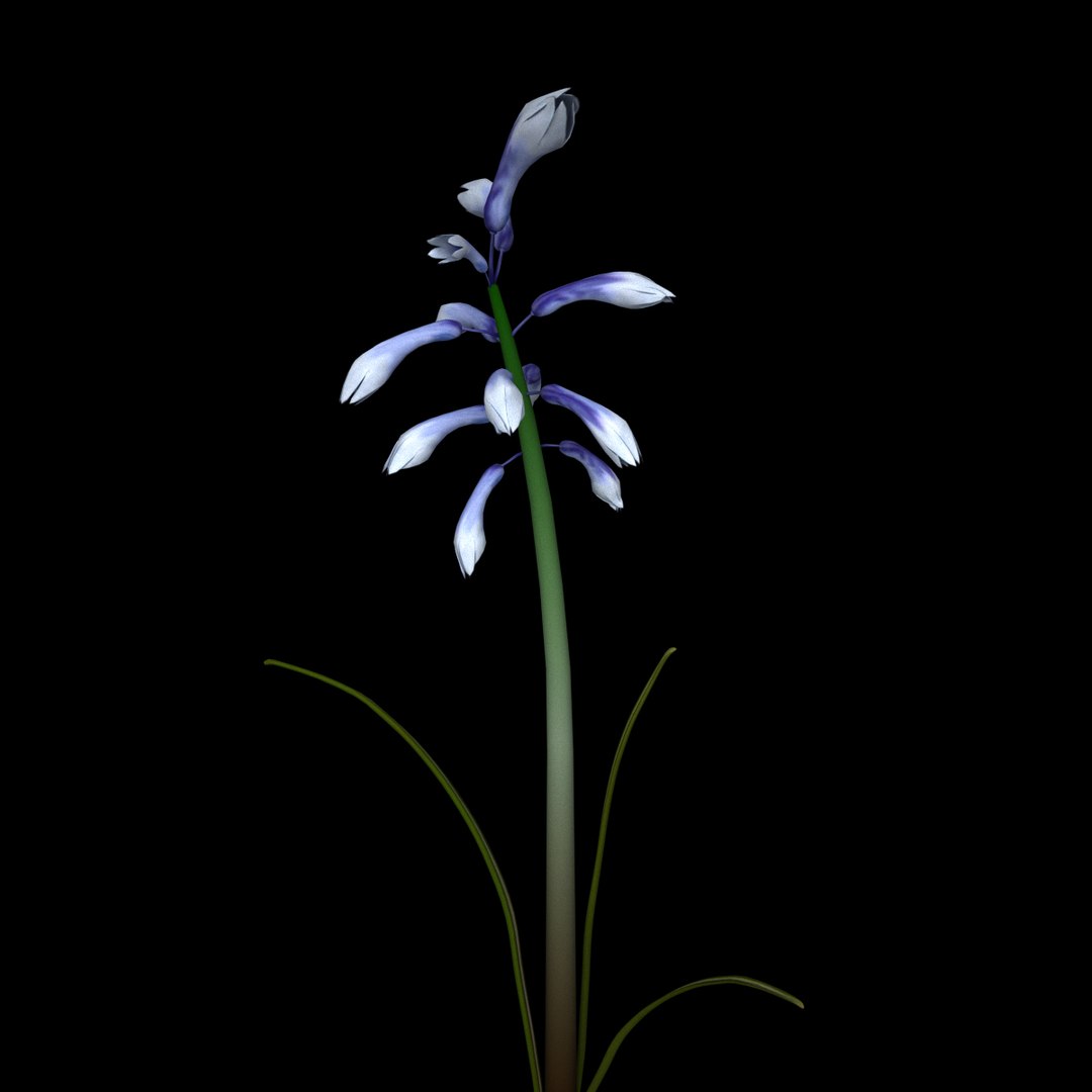 3D flowers open animation - TurboSquid 1579437