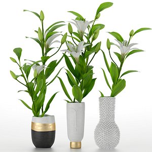 vase lily 3D