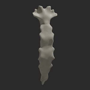 Sternum