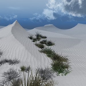 White & Gold Sand Desert