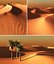 White & Gold Sand Desert
