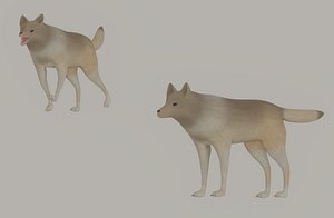 3D Wolf