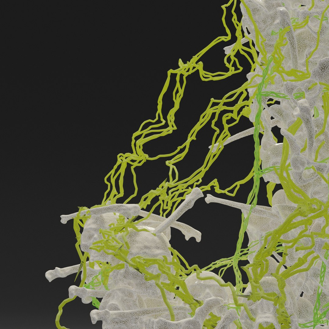 3D letter j bones skeleton https://p.turbosquid.com/ts-thumb/vA/ucn1wM/X60Qa82y/wireframe0010/png/1587543656/1920x1080/fit_q87/5cb8d56363371659bce76d1a1a03d0ffadf0df0b/wireframe0010.jpg