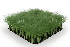 3D sprout salad vegetable