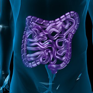 3d human large small