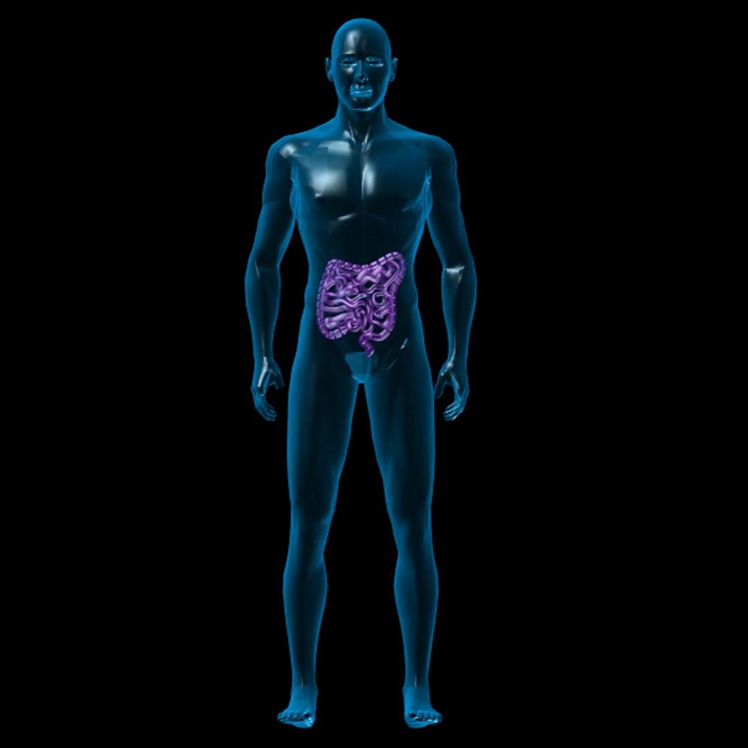 3d human large small https://p.turbosquid.com/ts-thumb/vB/5t6ZGa/Ww01cFUx/2/jpg/1297606785/1920x1080/fit_q87/2b24e97586322235ac09a673a6985cc94e9cf233/2.jpg