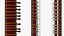 Sitar Indian Classical Musical Instrument