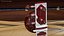 Sitar Indian Classical Musical Instrument