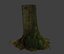 Tree Stam