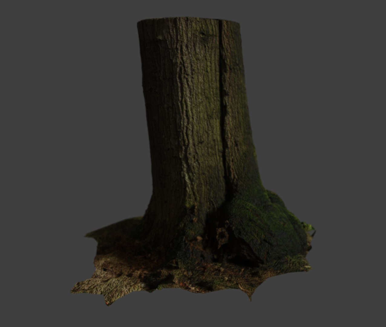 3D tree stam https://p.turbosquid.com/ts-thumb/vB/MxjMrV/DVD7E6D3/treestam_thmb4/png/1535444095/1920x1080/fit_q87/b29b4b905164714a4e925704dd46fadf11251494/treestam_thmb4.jpg