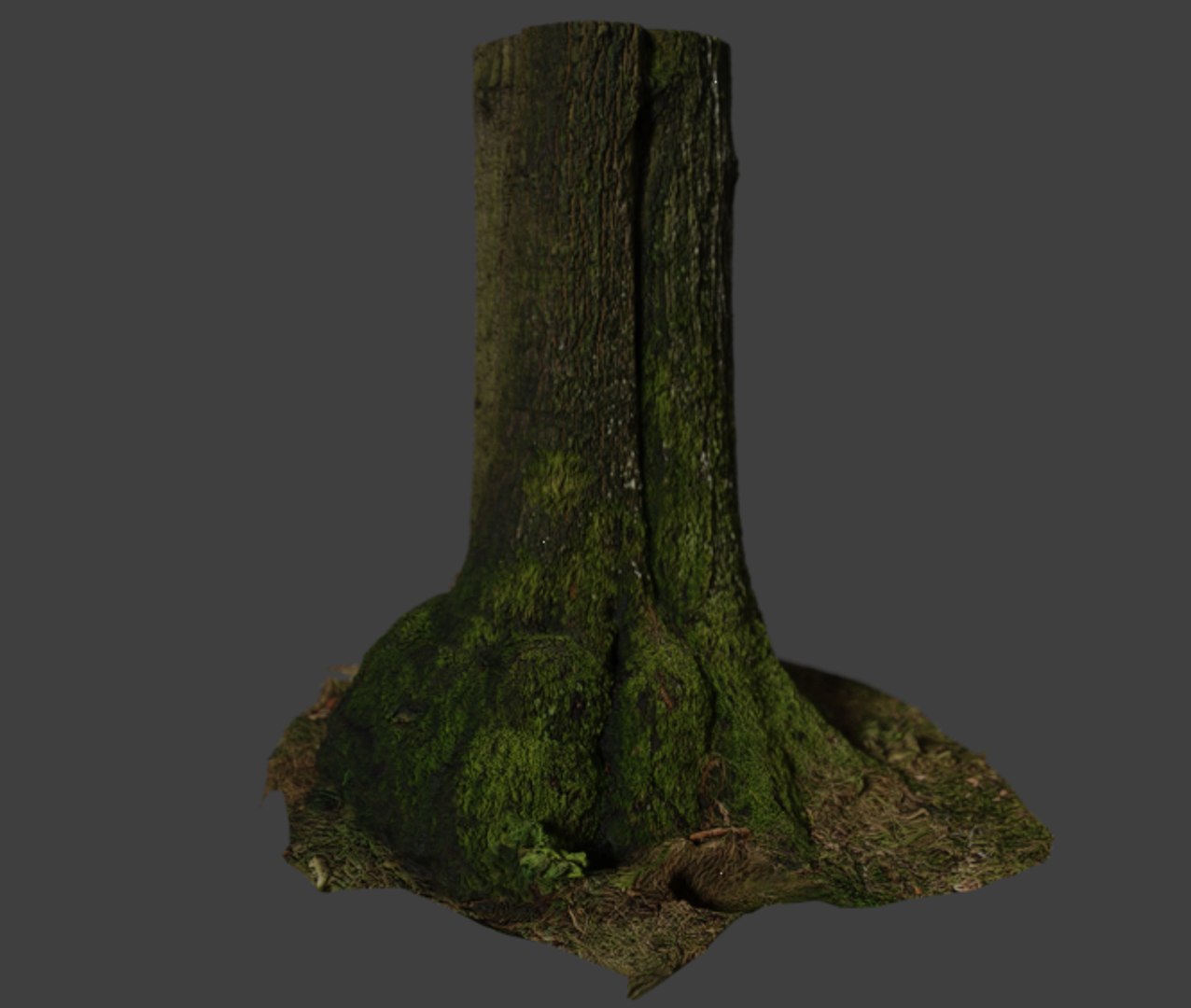 3D tree stam https://p.turbosquid.com/ts-thumb/vB/MxjMrV/povWHMRS/treestam_thmb2/png/1535443627/1920x1080/fit_q87/c314e16b7a4a0d227efb556a8cfbe9b625735fd0/treestam_thmb2.jpg