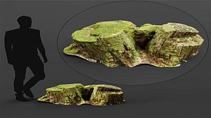 Mossy Tree Stump