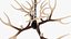 Lámpara colgante Antler Chandelier