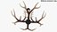 Lámpara colgante Antler Chandelier
