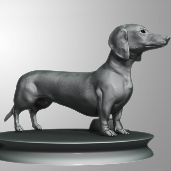 3d dachshund dog model