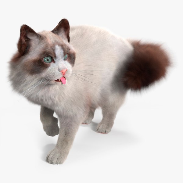 Gato Gratis 3D Modelos para Descargar | TurboSquid