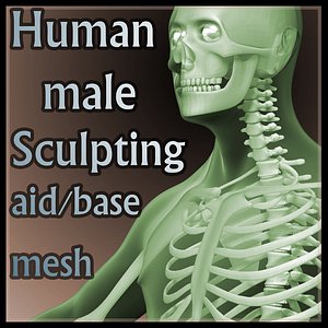 Anatomical Sculpting base mesh - Human Male