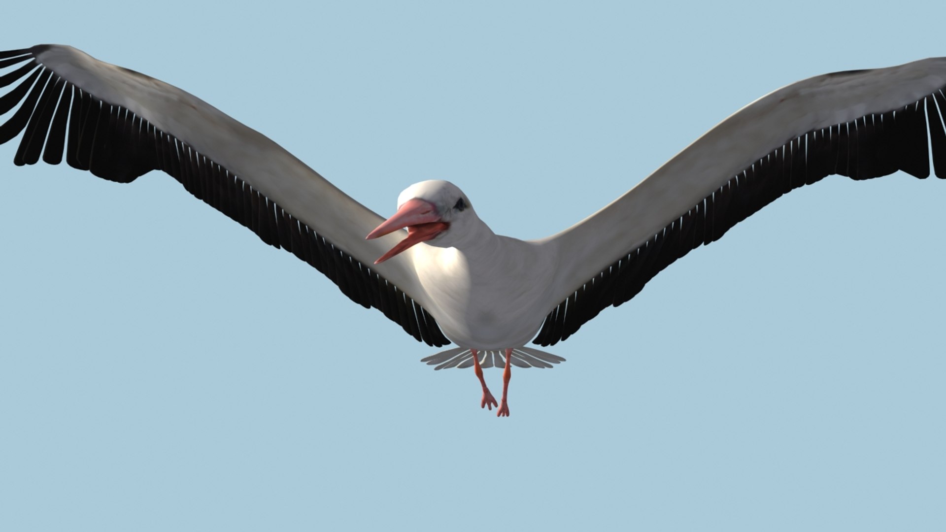 white stork rigged animation flying max https://p.turbosquid.com/ts-thumb/vC/HmOIyl/4CvhsosU/7/jpg/1400747534/1920x1080/fit_q87/ef2a446499a373e7109cd5027b46459d639f9019/7.jpg