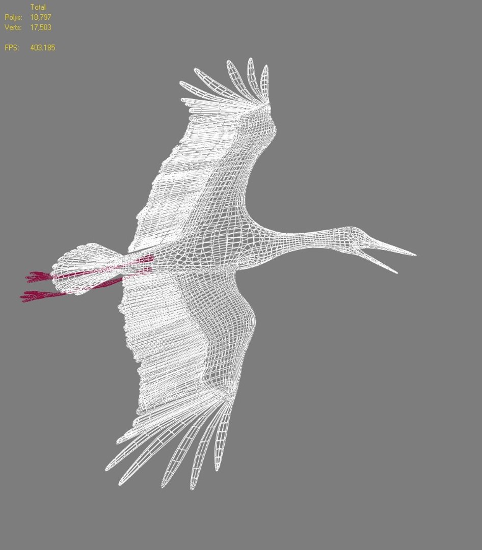 white stork rigged animation flying max https://p.turbosquid.com/ts-thumb/vC/HmOIyl/cbzPI8Gv/wire4onlymodel/jpg/1400747535/1920x1080/fit_q87/249efb77db1781dc1d67cd581562bf7b5b4e096f/wire4onlymodel.jpg