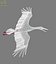 white stork rigged animation flying max