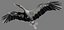 MODELLO BASSO POLY WHITE STORK 3D COMPLETAMENTE STAGIONATO E ANIMATO