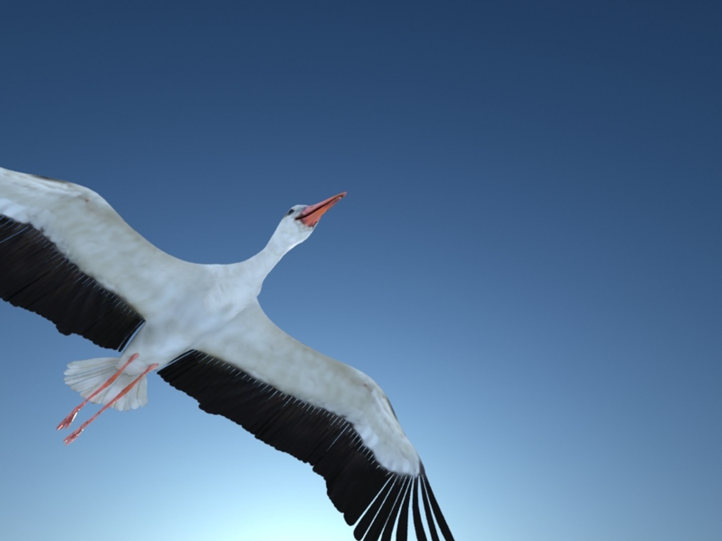white stork rigged animation flying max https://p.turbosquid.com/ts-thumb/vC/HmOIyl/pYEPRFZ5/12/jpg/1400747535/1920x1080/fit_q87/ac64bd4a6c71f99b3e075aa448ae2fad768886a8/12.jpg