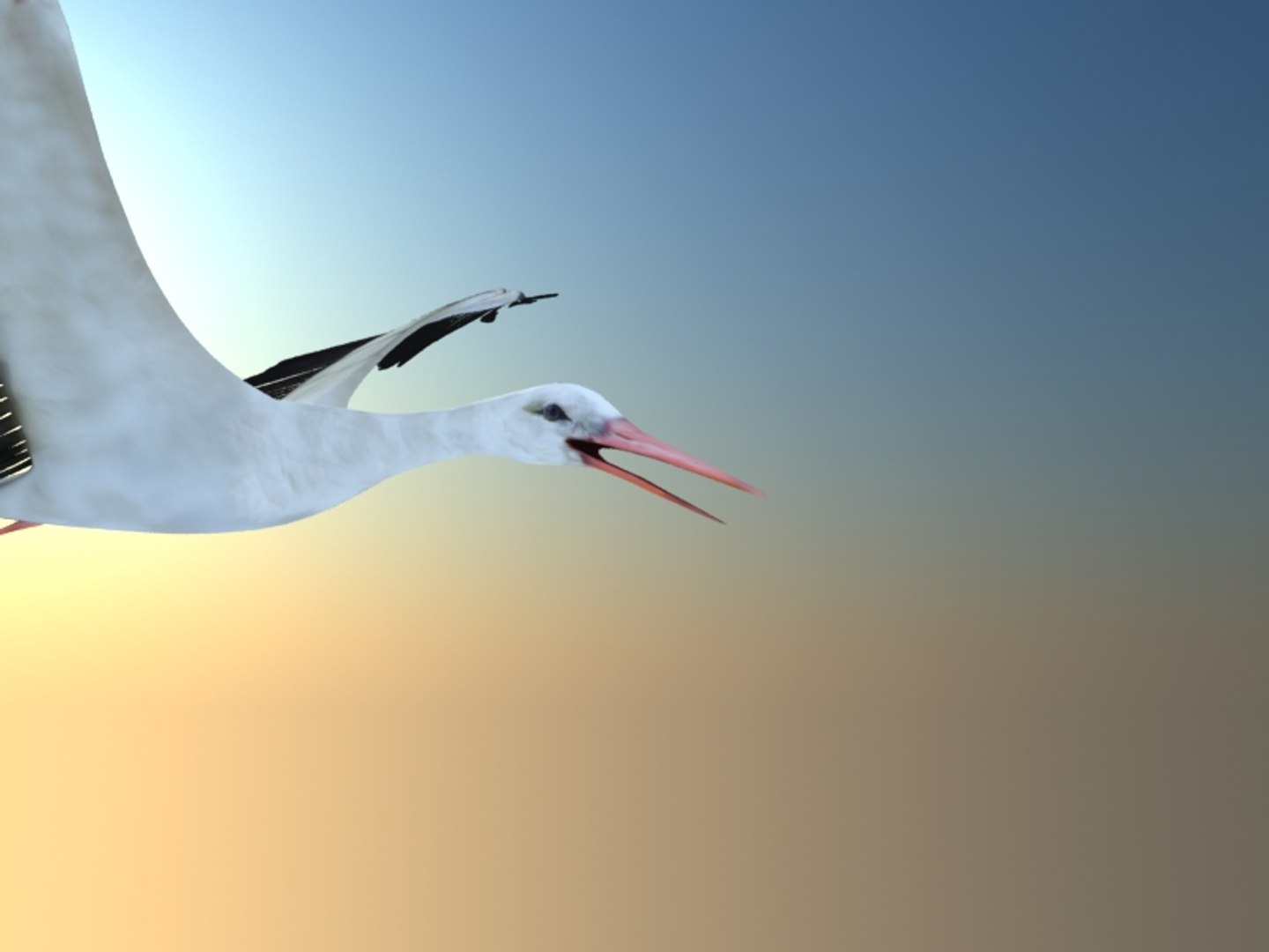 white stork rigged animation flying max https://p.turbosquid.com/ts-thumb/vC/HmOIyl/uHZzK7If/11/jpg/1400747535/1920x1080/fit_q87/ce13eecff7cf0aab486d1ded0f39692c582aa81d/11.jpg