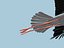 MODELLO BASSO POLY WHITE STORK 3D COMPLETAMENTE STAGIONATO E ANIMATO