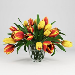 vase tulips 3D