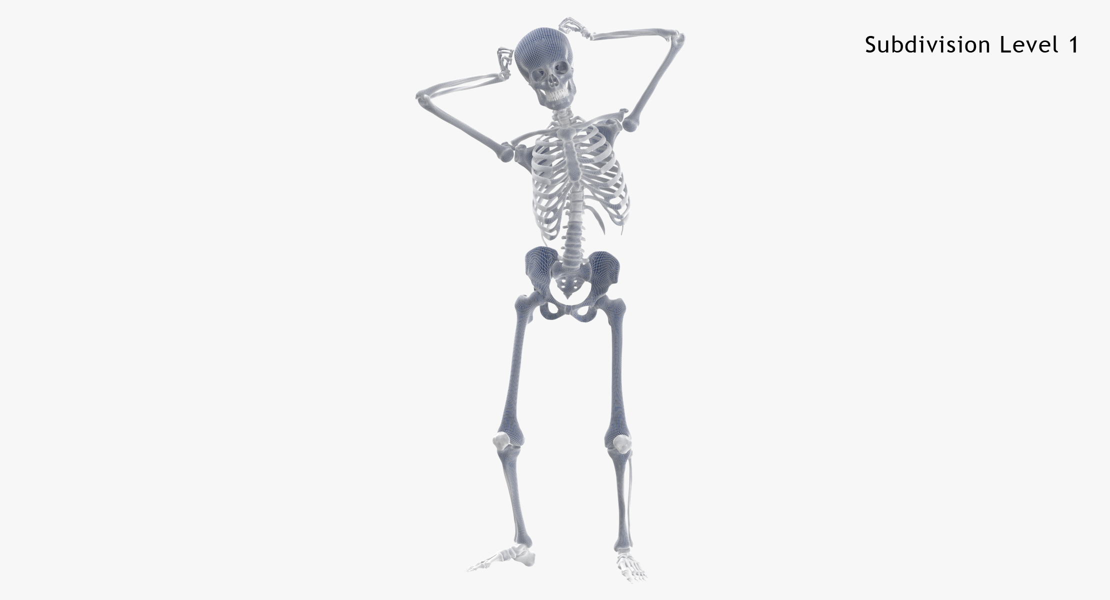 skeleton pose reference